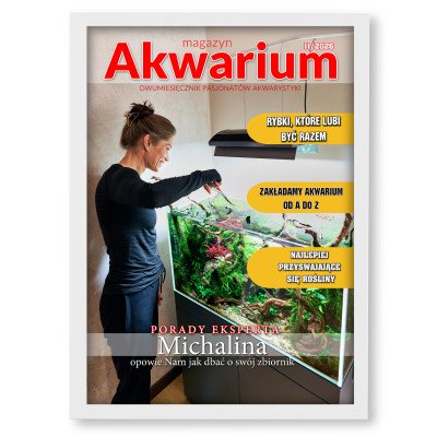 Personalizowany plakat „Akwarium” ze zdjęciem – idealny prezent dla miłośnika ryb i podwodnego świata