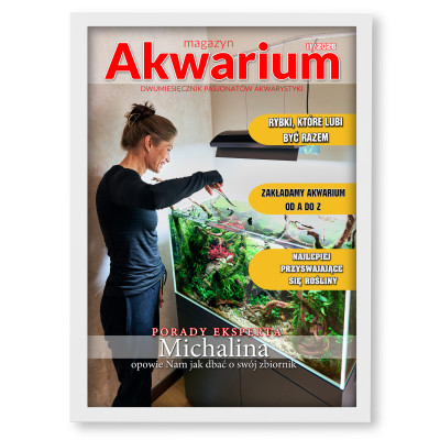 Personalizowany plakat „Akwarium” ze zdjęciem – idealny prezent dla miłośnika ryb i podwodnego świata