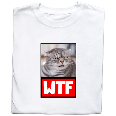 Koszulka z Nadrukiem „Kot WTF Meme” – Śmieszna Grafika, Idealny Prezent