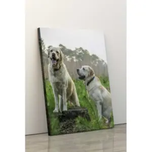 Zdjęcie na płótnie 50x70